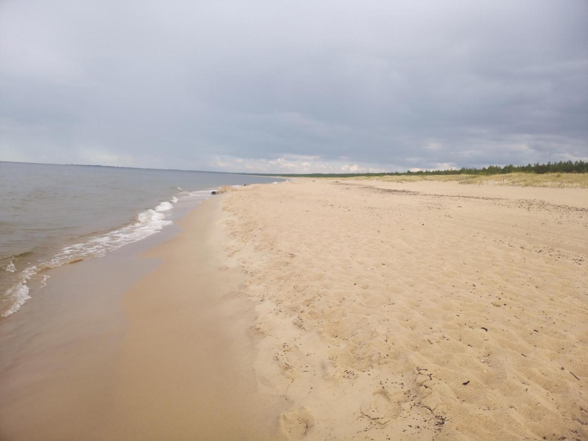 Pokoje Sobie Na Wyspie Gdansk Bagian luar foto